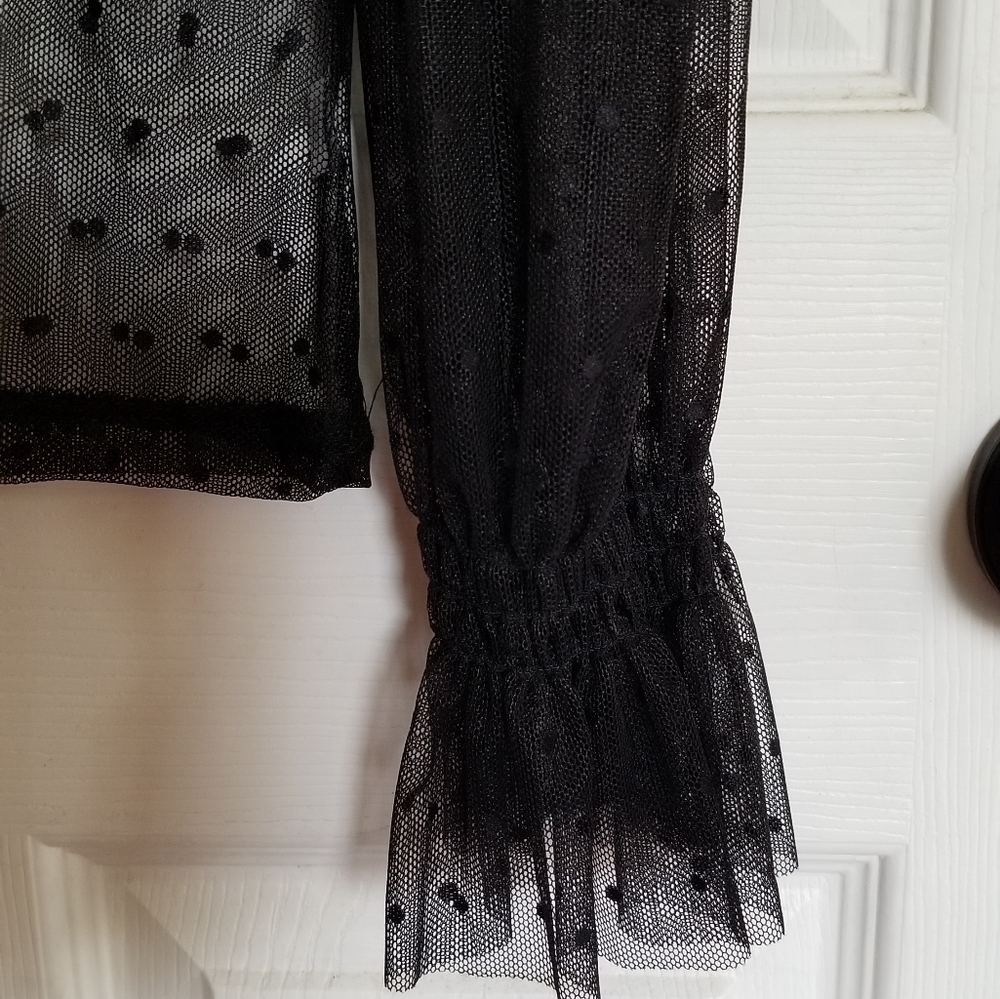 Sheer Blouse - Picture 2 of 3